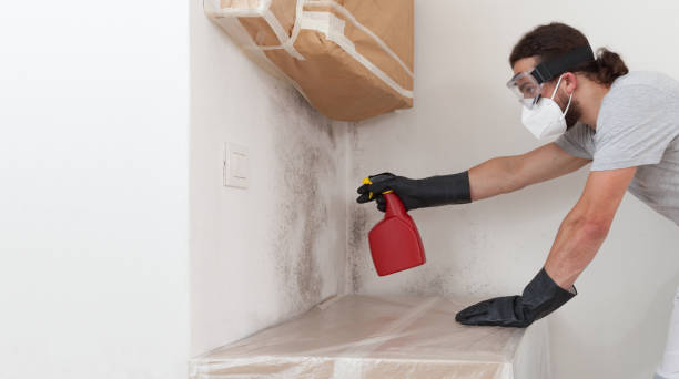 Professional Commercial Mold Remediation technician working in Linden, TN