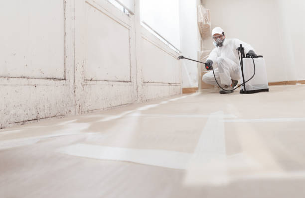 24/7 Emergency Commercial Mold Remediation experts in Linden, TN