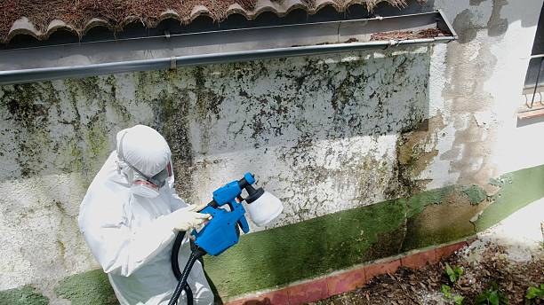 Trusted Commercial Mold Remediation service in Linden, TN - Cheap Mold Removal